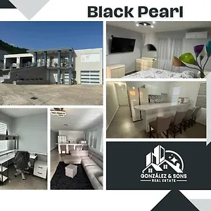 Apartment Black Pearl, Guayama